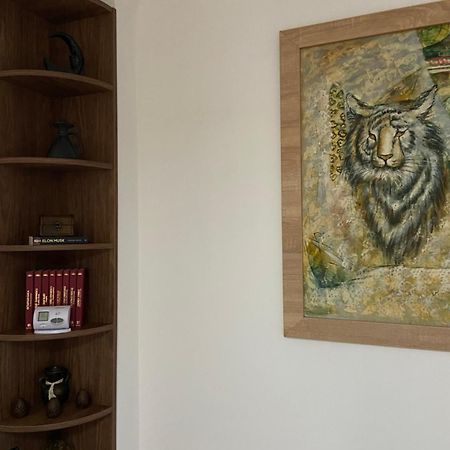 Casa Mountain View Villa Brasov Bagian luar foto