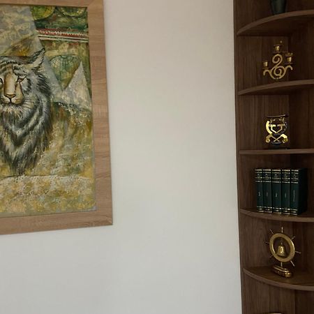 Casa Mountain View Villa Brasov Bagian luar foto
