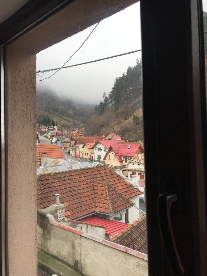 Casa Mountain View Villa Brasov Bagian luar foto