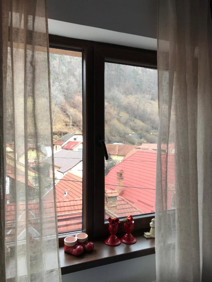 Casa Mountain View Villa Brasov Bagian luar foto