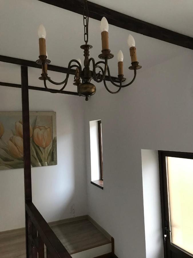 Casa Mountain View Villa Brasov Bagian luar foto