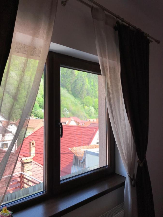 Casa Mountain View Villa Brasov Bagian luar foto