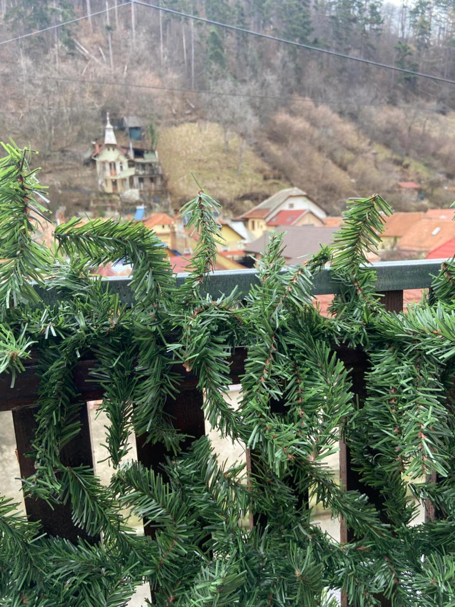 Casa Mountain View Villa Brasov Bagian luar foto